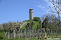 VBS_0976 - Torre dei Contini - Canelli (AT)